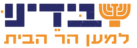 בידינו